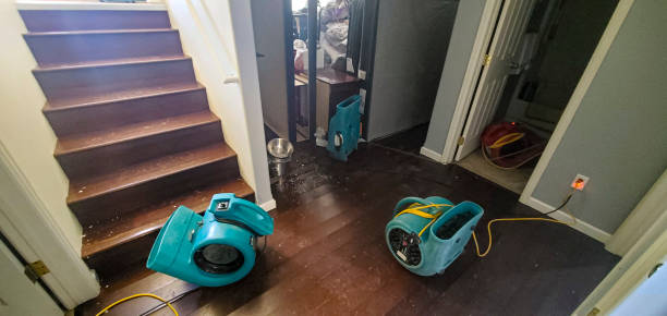 Best Ceiling water damage repair  in Coram, NY
