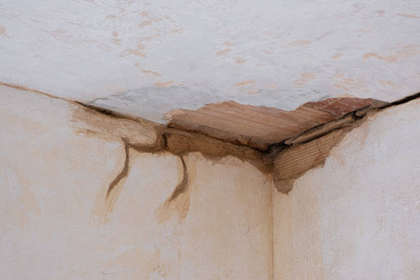  Coram, NY Water damage restoration Pros