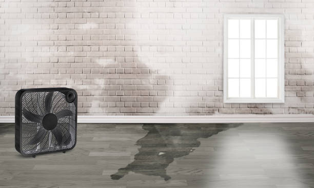Best Flood restoration services  in Coram, NY