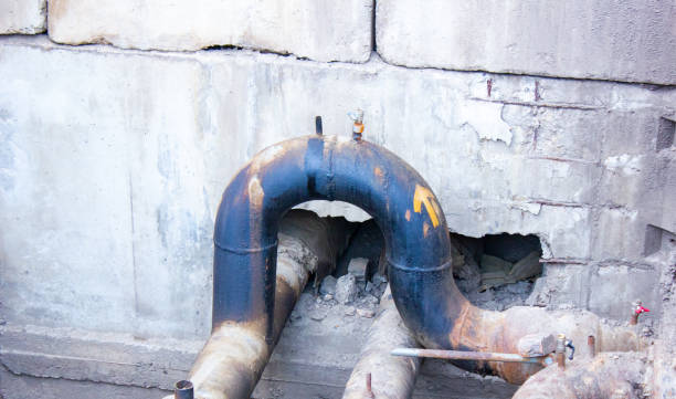 Best Water damage cleanup near me  in Coram, NY