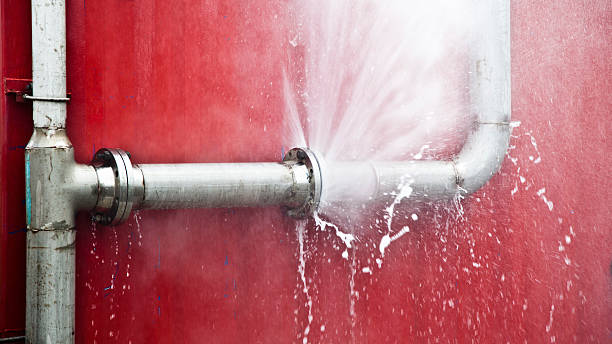 Best Water damage restoration mold remediation  in Coram, NY